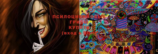 кокаин Бородино