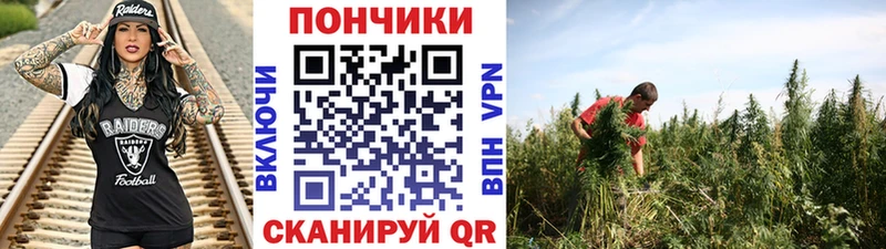 Канабис планчик  мега как зайти  Набережные Челны 
